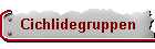 Cichlidegruppen
